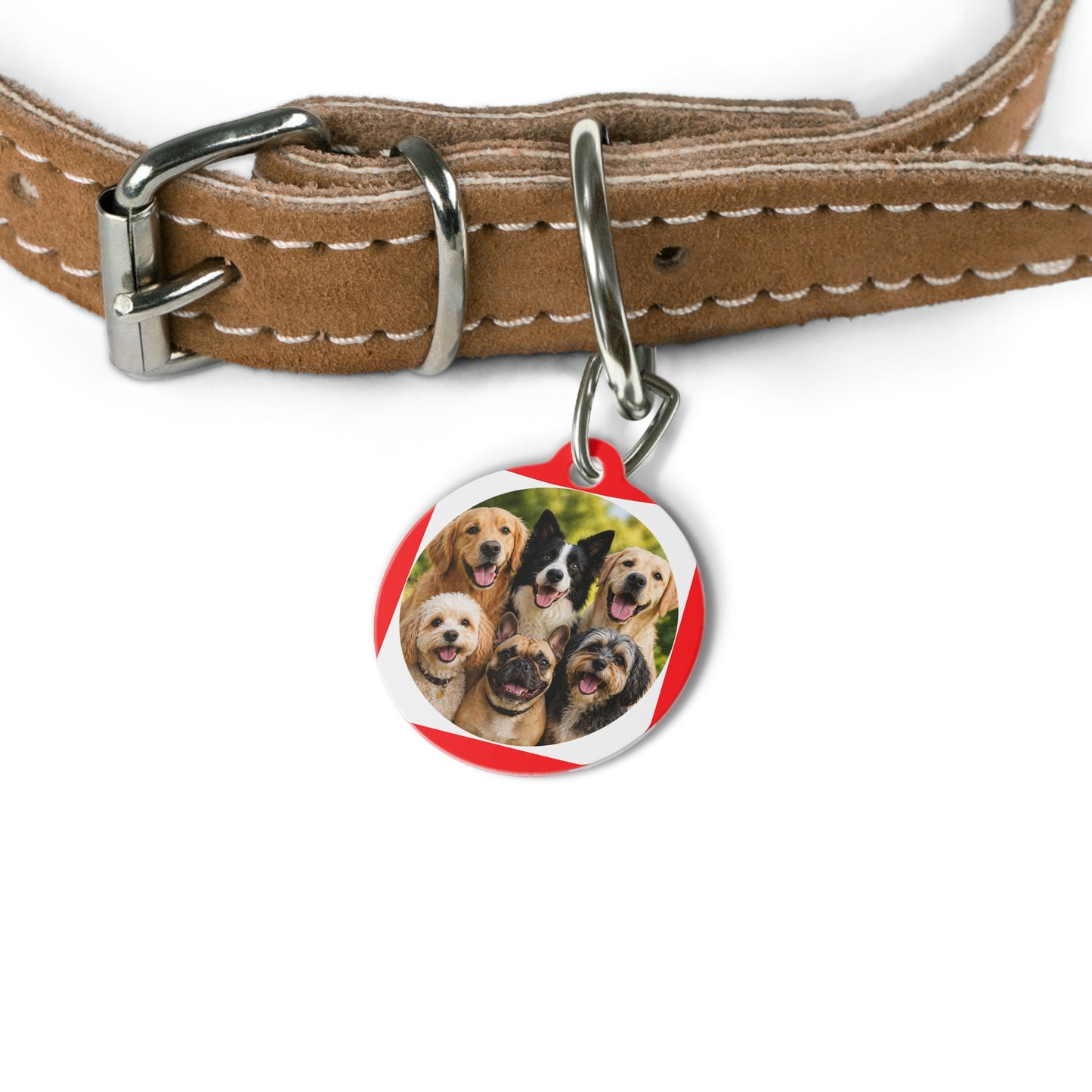 Pet Photo Tag – Custom Round Dog ID Charm