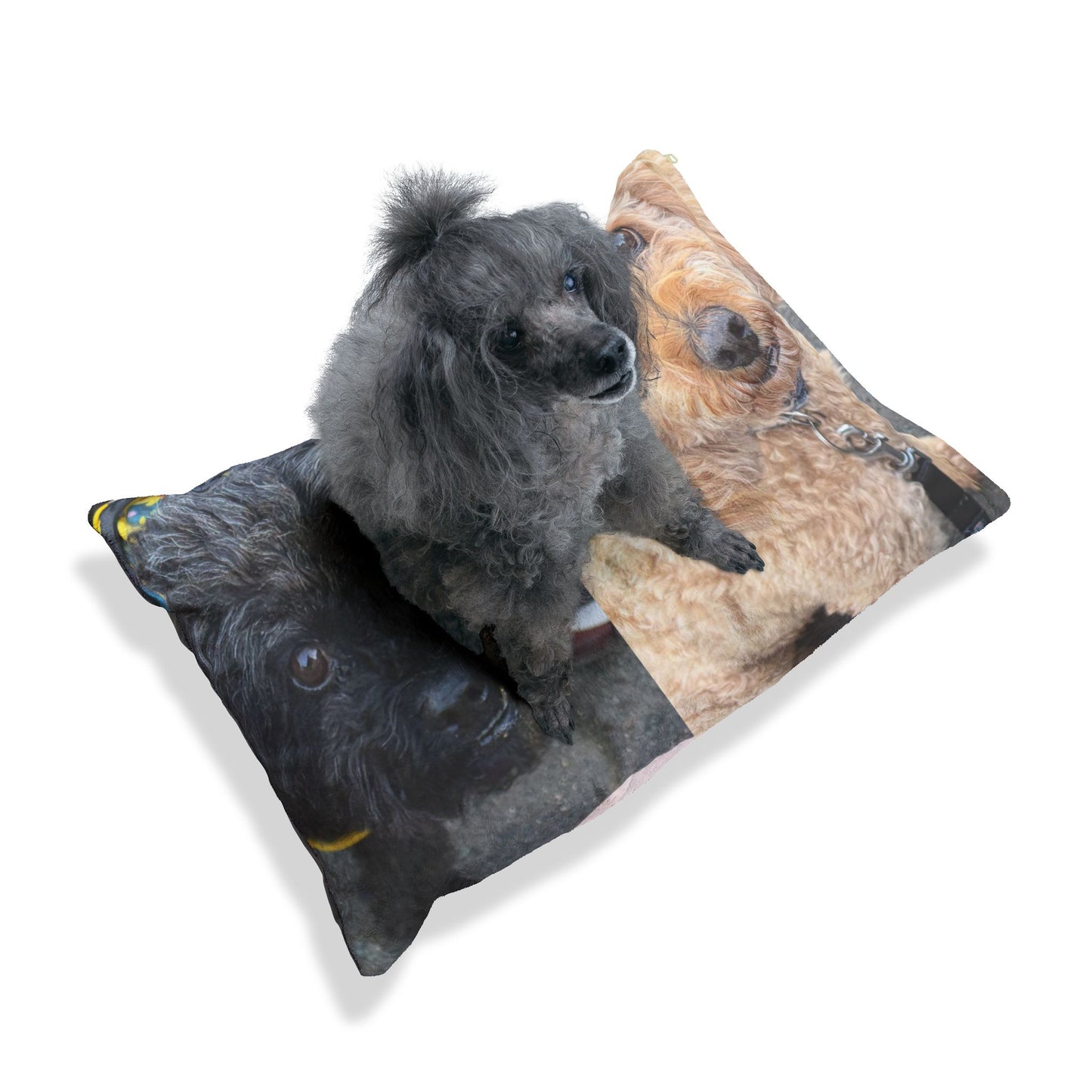 Personalized Photo Pet cushion