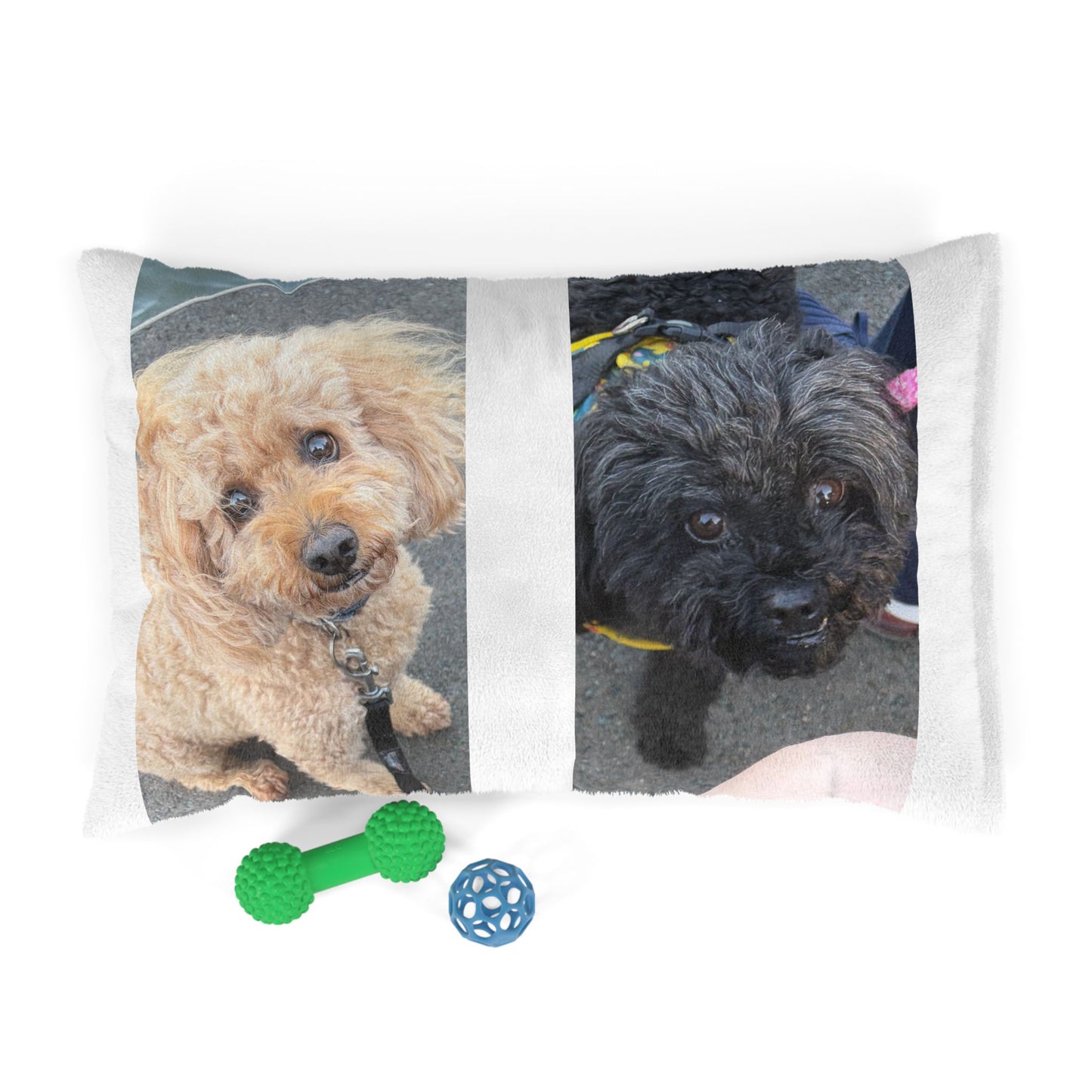 Custom Dog Picture Pillow for Small Dogs