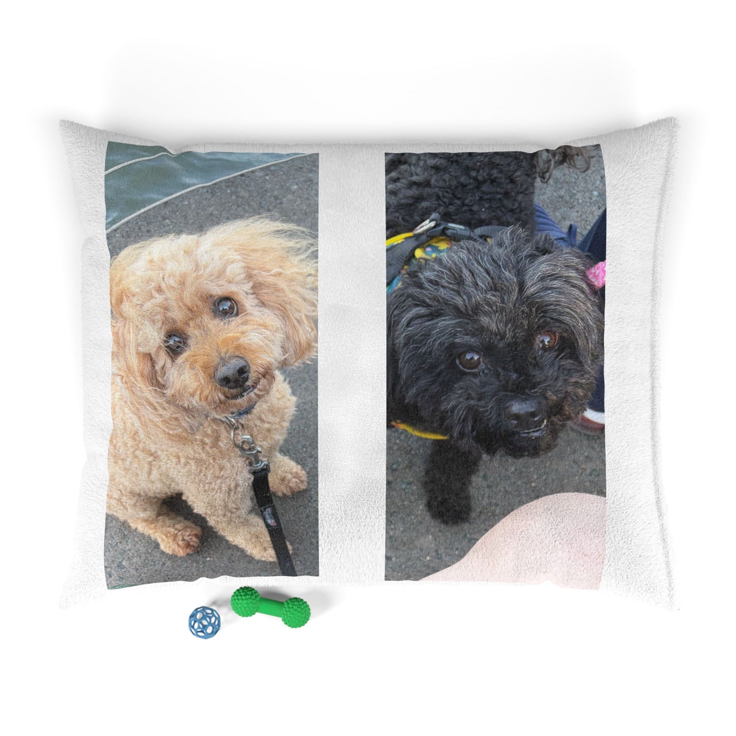 Custom Dog Picture Pillow for Small Dogs