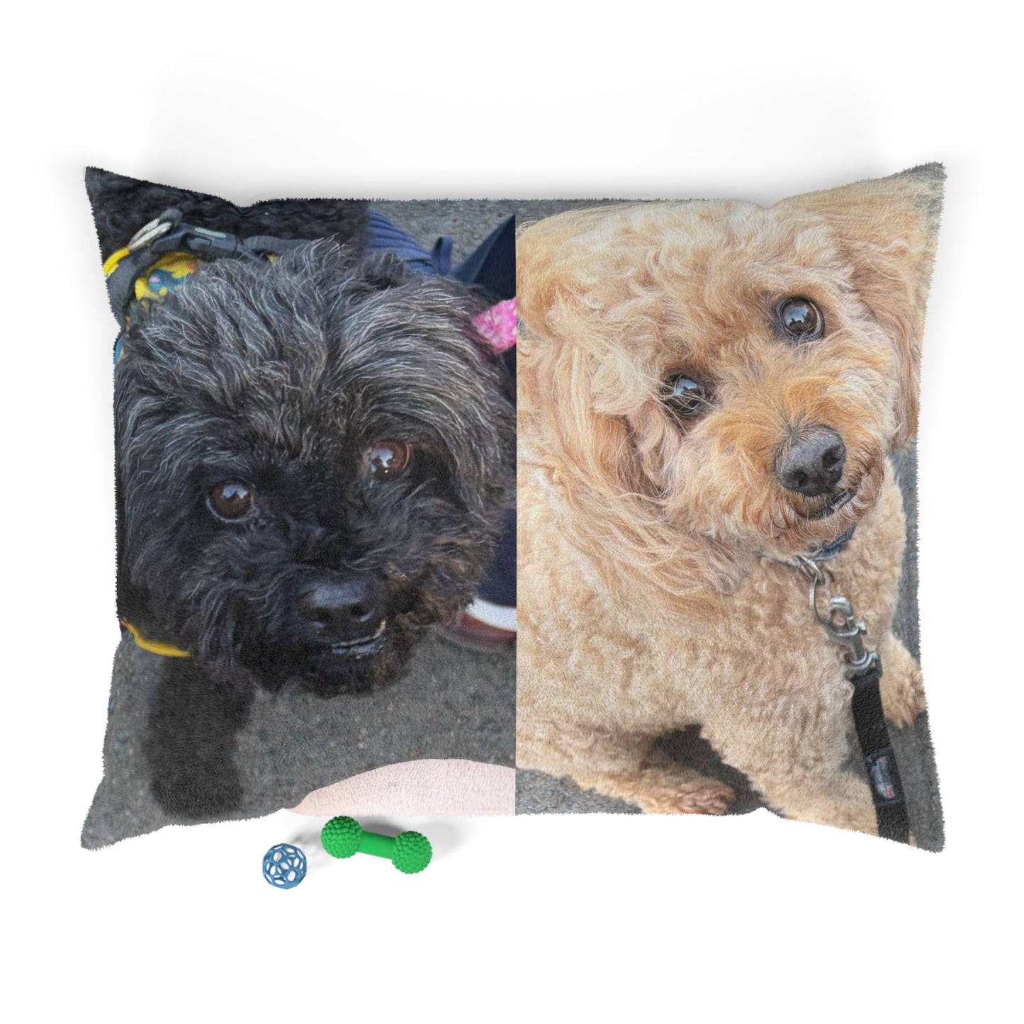 Personalized Photo Pet cushion