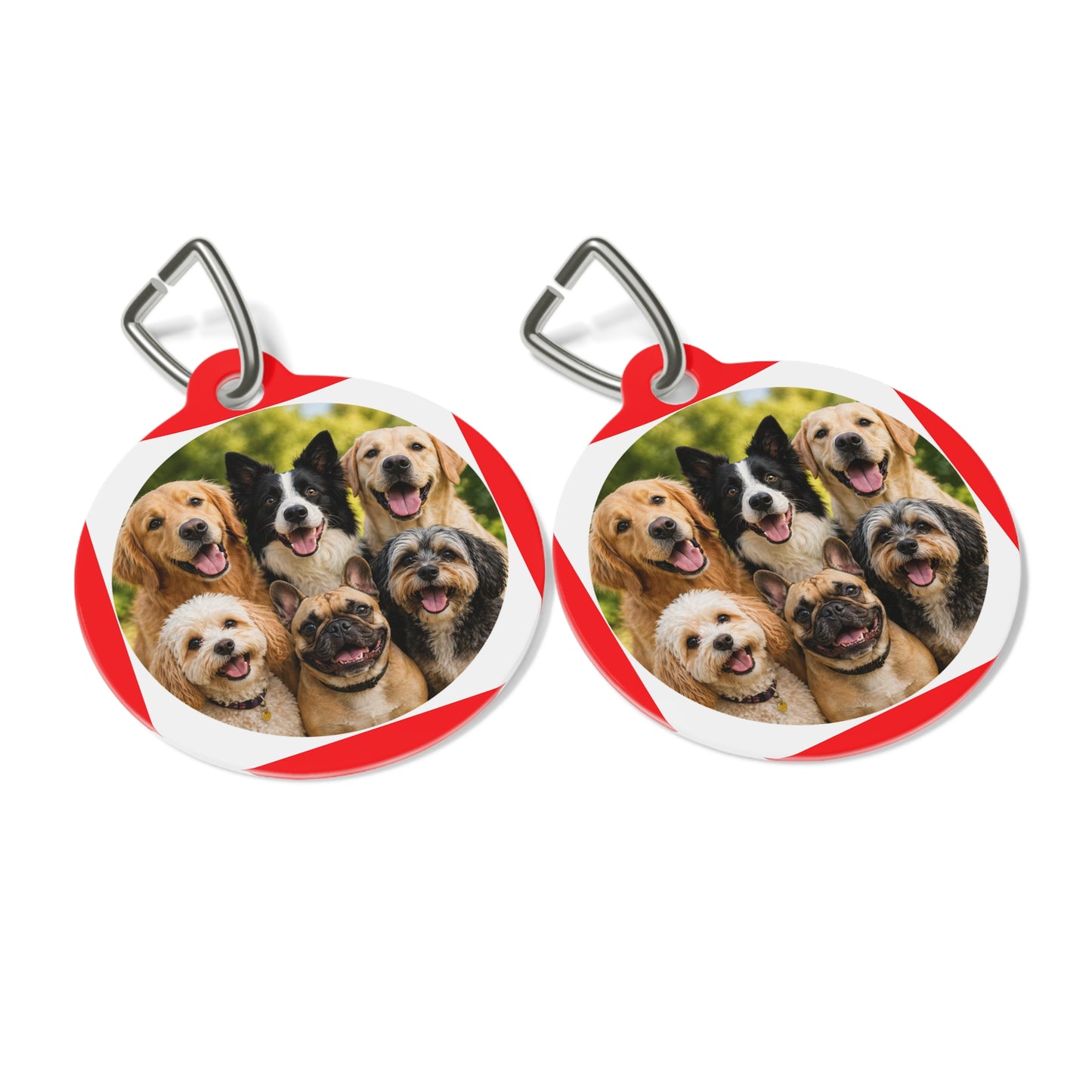 Pet Photo Tag – Custom Round Dog ID Charm