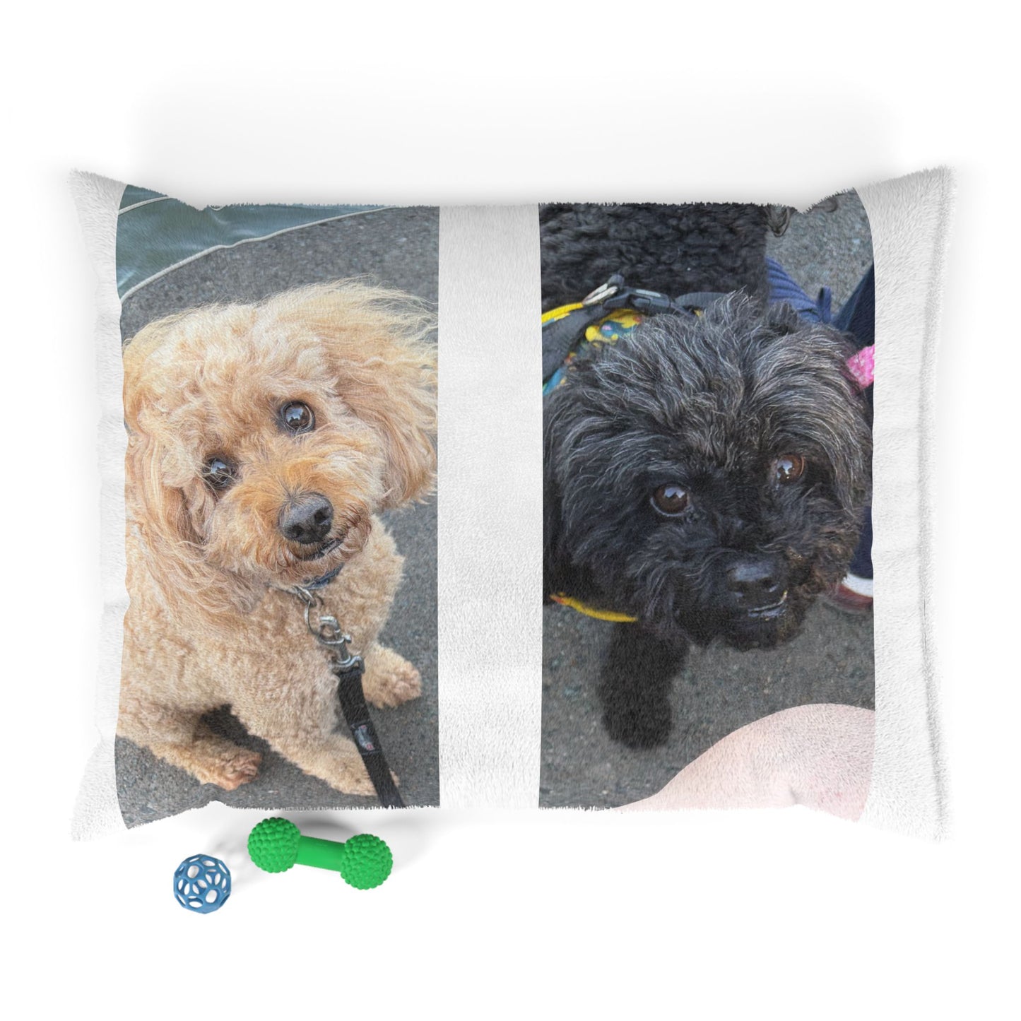 Custom Dog Picture Pillow for Small Dogs