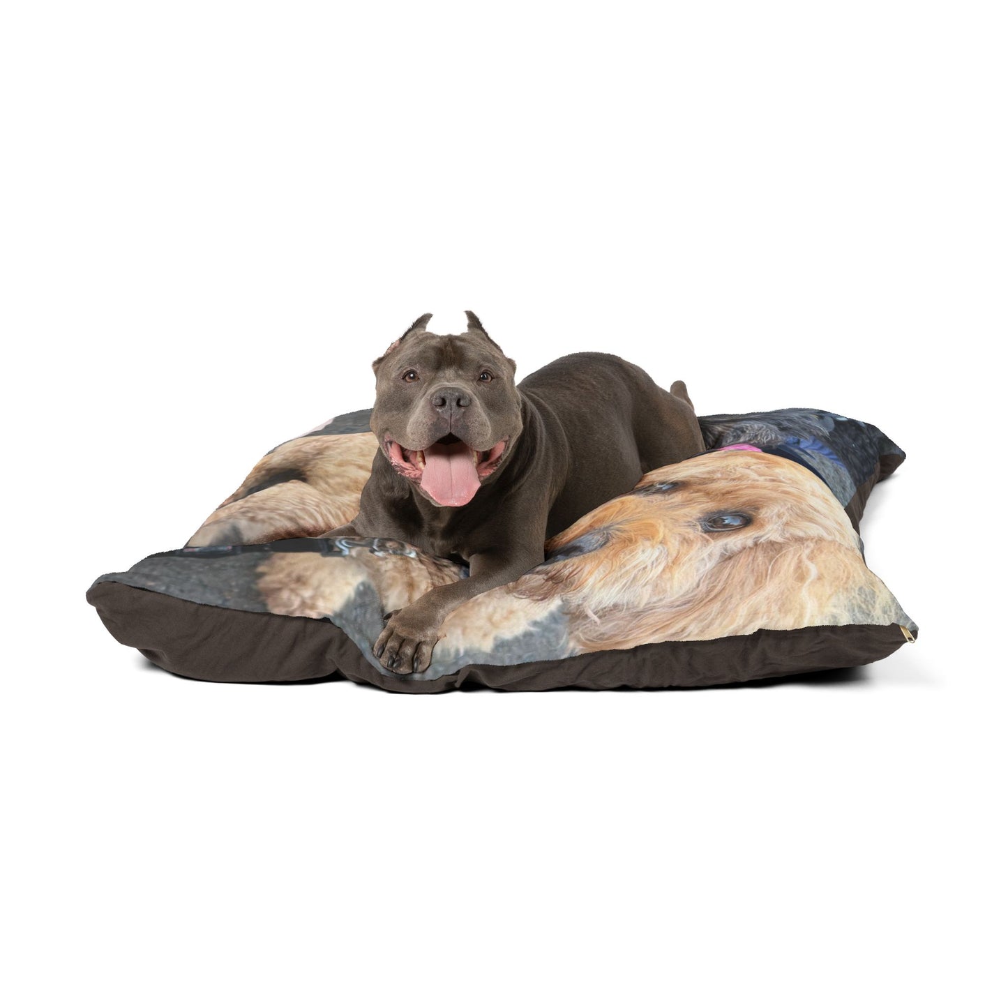 Personalized Photo Pet cushion