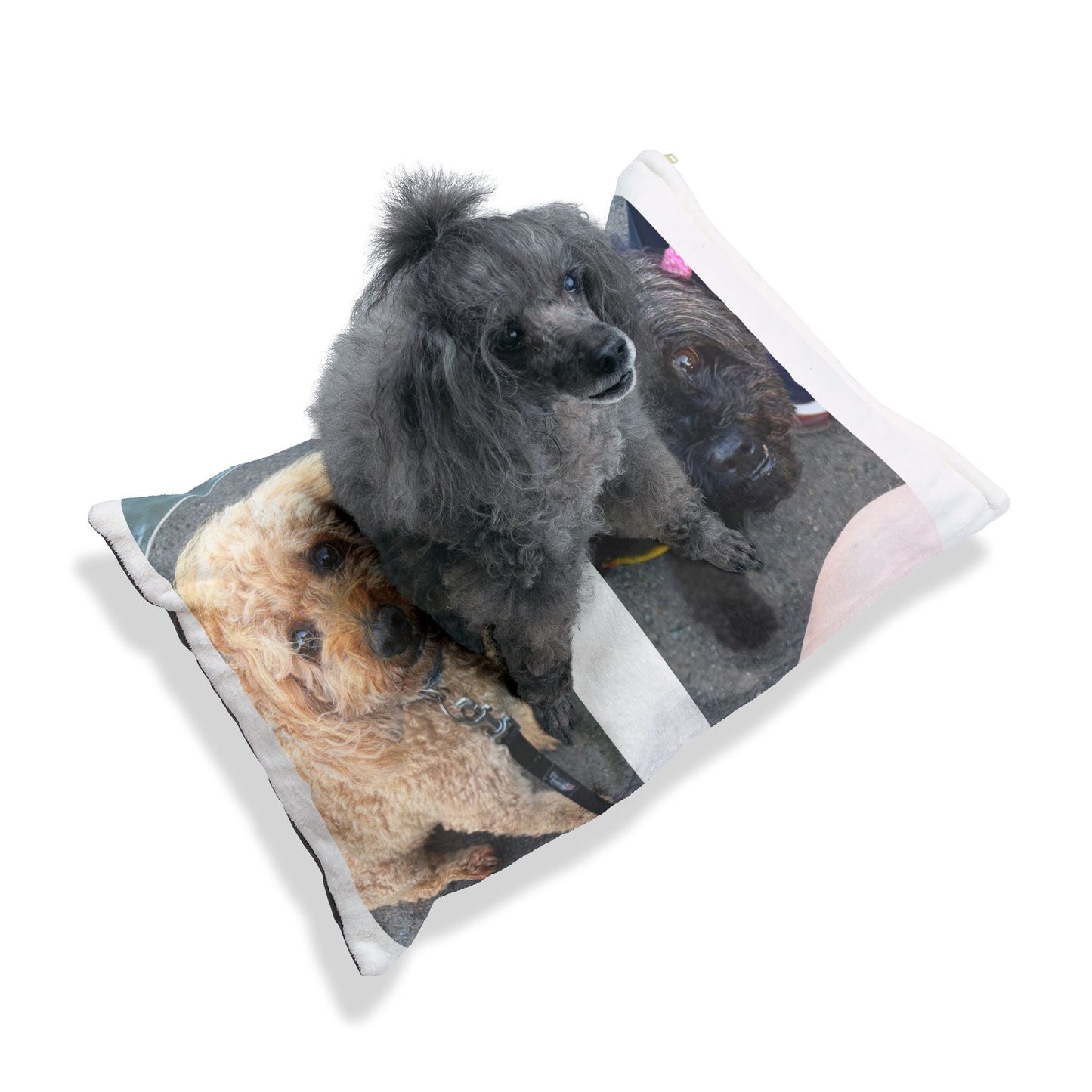 Custom Dog Picture Pillow for Small Dogs