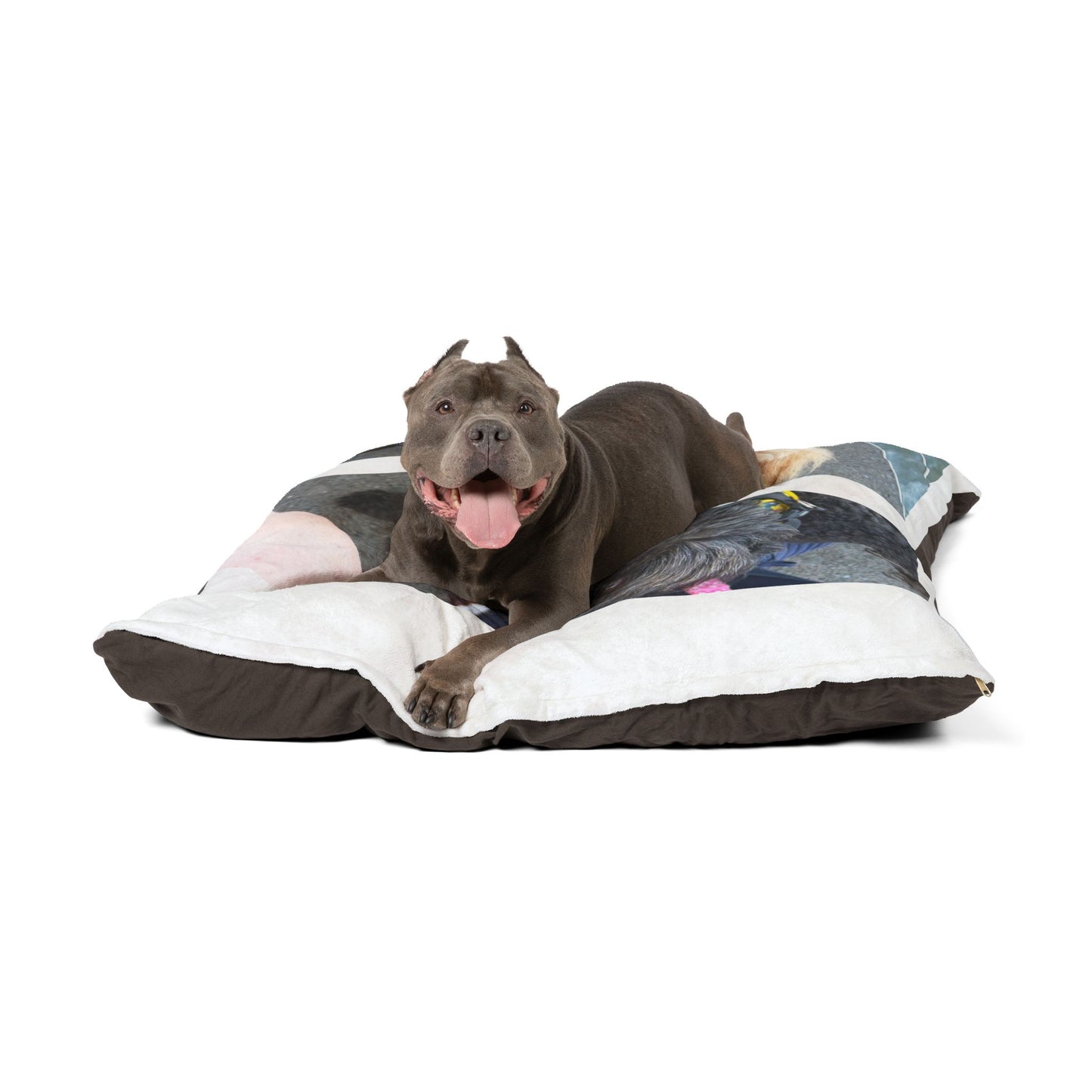 Custom Dog Picture Pillow for Small Dogs